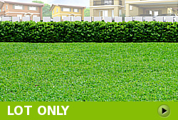 Lot for Sale in Camella Iloilo